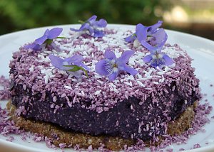 blåbärslyx på nötbotten